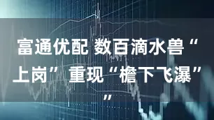 富通优配 数百滴水兽“上岗” 重现“檐下飞瀑”
